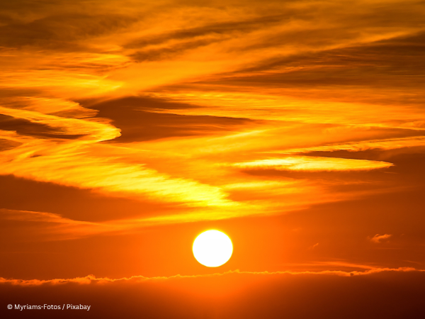 WWF responds to WMO 2025 State of the Climate report