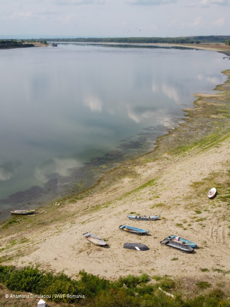Over half of surveyed businesses in Central and Eastern Europe already hit by water-related impacts, WWF finds