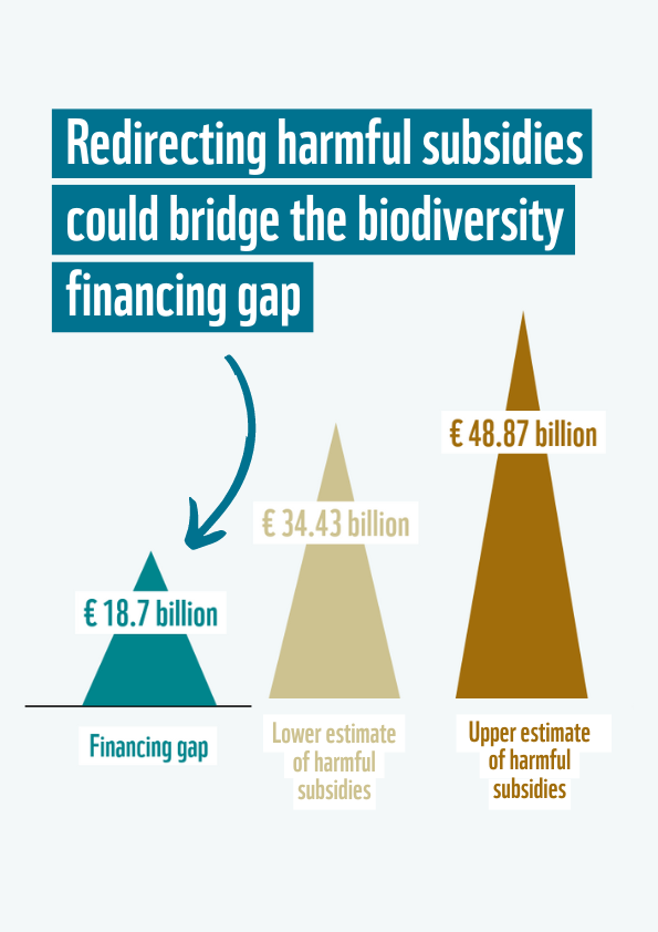 Comparison of biodiversity financing gap and potential BHS. (Lower and upper end, annually during 2021 – 2027 multiannual financial framework period)