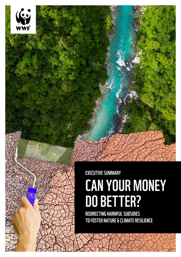 Read the full report here